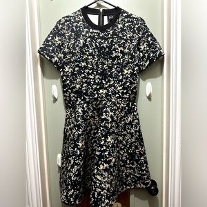 Alexander McQueen Dress